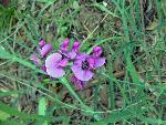 Photo DSC01882.JPG